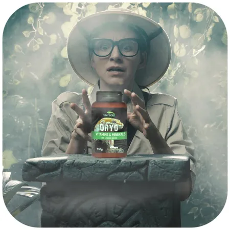 Terrario ORYO for Leopard Gecko 150g - witaminy dla gekona lamparciego-1923420