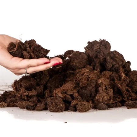 Terrario Paraguay Muds Pieces - torf zbrylony 5l-1923441