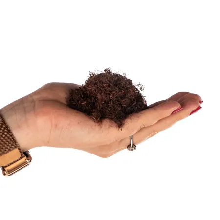 Terrario Paraguay Muds Powder - torf drobny 5l-1923454