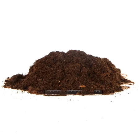 Terrario Paraguay Muds Powder - torf drobny 5l-1923456