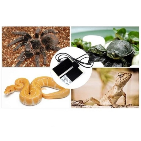 Terrario Premium Repti Pad 10W - mata grzewcza z regulacją-1923509