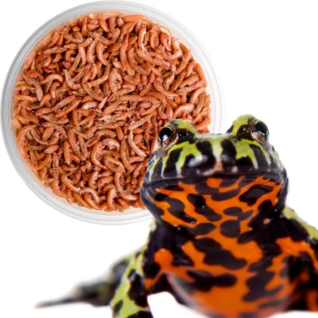 Terrario Repti Bites Gammarus 125ml - kiełż zdrojowy suszony-1923585