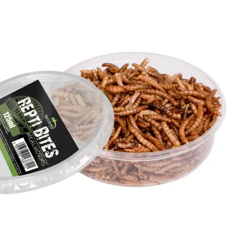Terrario Repti Bites Mealworms 125ml - larwy mącznika suszone-1923603