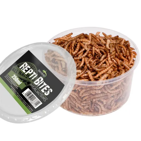 Terrario Repti Bites Mealworms 250ml - larwy mącznika suszone-1923610