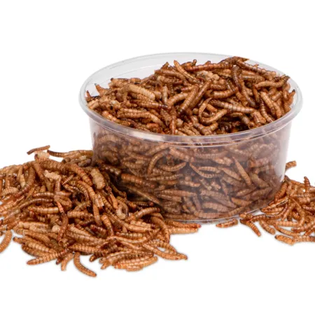 Terrario Repti Bites Mealworms 250ml - larwy mącznika suszone-1923613