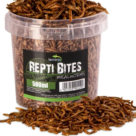Terrario Repti Bites Mealworms 500ml - larwy mącznika suszone-1923617