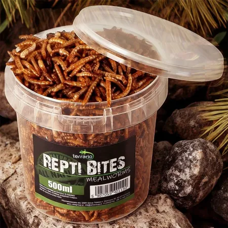 Terrario Repti Bites Mealworms 500ml - larwy mącznika suszone-1923618