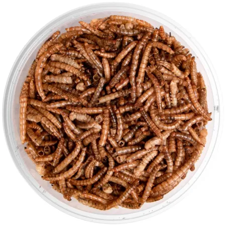 Terrario Repti Bites Mealworms 500ml - larwy mącznika suszone-1923620