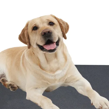 Terrario Repti-Pad PVC 20W - wodoodporna mata grzewcza-1923664