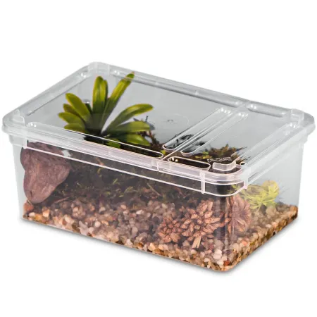 Terrario Reptiland 19x12x7,5cm - przeźroczyste terrarium faunarium-1923710