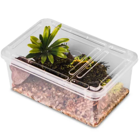 Terrario Reptiland 19x12x7,5cm - przeźroczyste terrarium faunarium-1923712