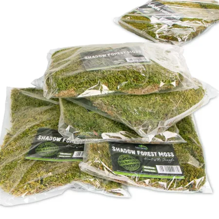 Terrario Shadow Forest Moss - mech naturalny 35x28cm-1923999