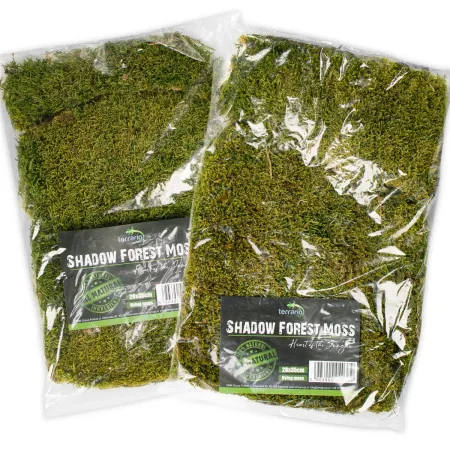 Terrario Shadow Forest Moss - mech naturalny 35x28cm-1924010