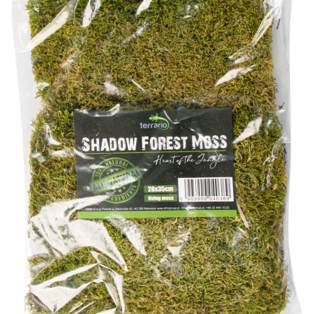 Terrario Shadow Forest Moss - mech naturalny 35x28cm-1924011