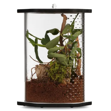 Terrario Spiders Tube Big200 - terrarium akrylowe-1924030