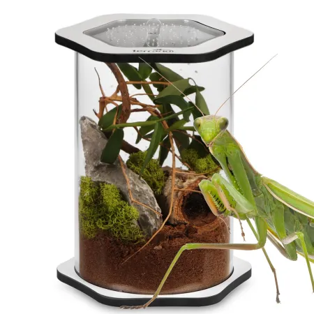 Terrario Spiders Tube Big200 - terrarium akrylowe-1924031