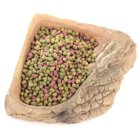 Terrario StoneLake L - rogowa miska na wodę 20x20x4cm-1924105