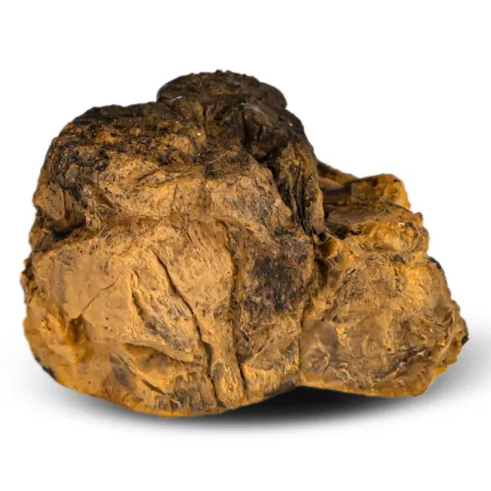 Terrario SunCave Desert L - jaskinia pustynna dla gekona lamparciego-1924124