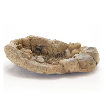 Terrario TerraPond M - miska / oczko wodne 23x18x6cm-1924171