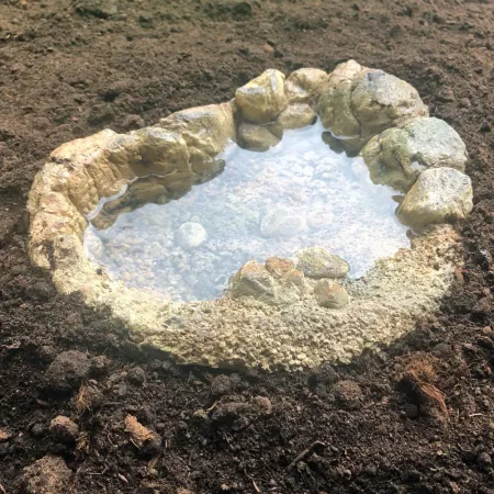 Terrario TerraPond M - miska / oczko wodne 23x18x6cm-1924174