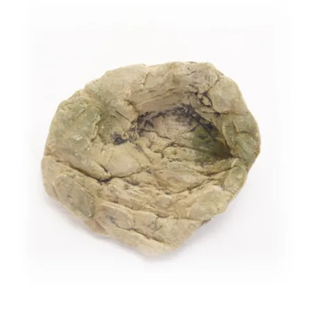 Terrario TerraPond S - miska / oczko wodne 17x14x5-1924177