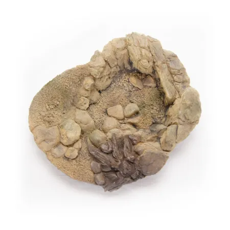 Terrario TerraPond XL - miska / oczko wodne 33x30x11-1924180