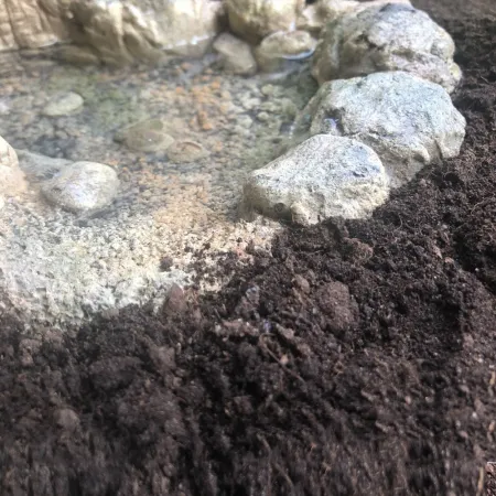 Terrario TerraPond XL - miska / oczko wodne 33x30x11-1924182