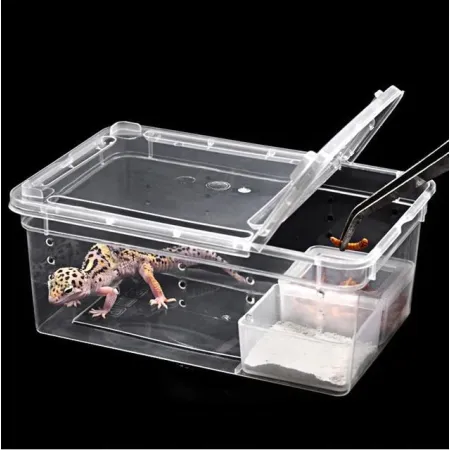 Terrario Terrarium Faunarium 18x12x7cm-1924188