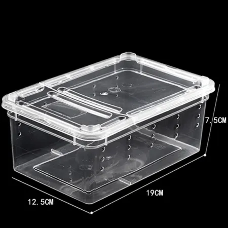 Terrario Terrarium Faunarium 33x22x15cm-1924199