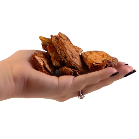 Terrario Tha Pom Khlong L - kora antybakteryjna i grzybobójcza 5l-1924207