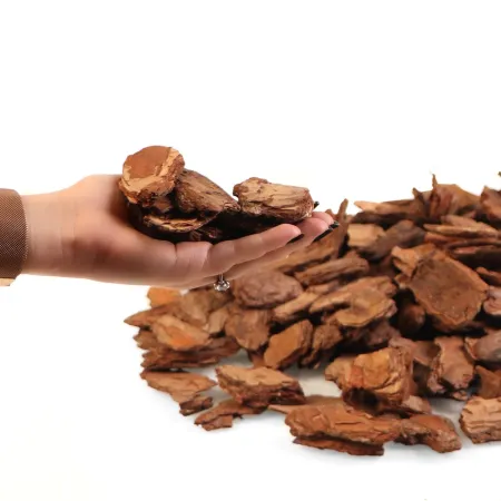 Terrario Tha Pom Khlong L - kora antybakteryjna i grzybobójcza 5l-1924213