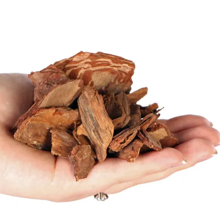 Terrario Tha Pom Khlong M - kora antybakteryjna i grzybobójcza 5l-1924218