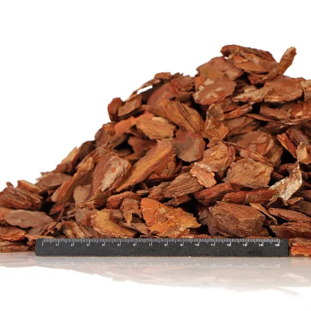 Terrario Tha Pom Khlong M - kora antybakteryjna i grzybobójcza 5l-1924219