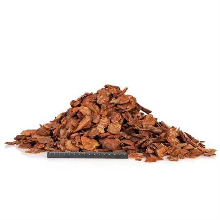 Terrario Tha Pom Khlong M - kora antybakteryjna i grzybobójcza 5l-1924223