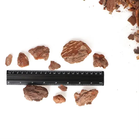 Terrario Tha Pom Khlong M - kora antybakteryjna i grzybobójcza 5l-1924226