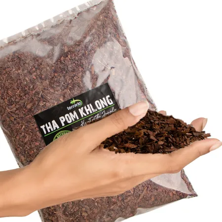 Terrario Tha Pom Khlong S - kora antybakteryjna i grzybobójcza 5l-1924228