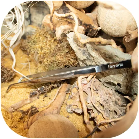 Terrario ViperTweez Bent L - pęseta zagięta 30cm-1924316