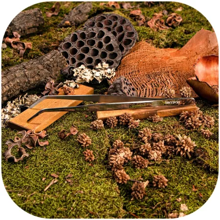 Terrario ViperTweez Bent M - pęseta zagięta 25cm-1924328