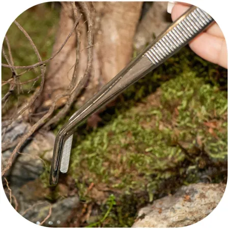 Terrario ViperTweez Bent M - pęseta zagięta 25cm-1924331