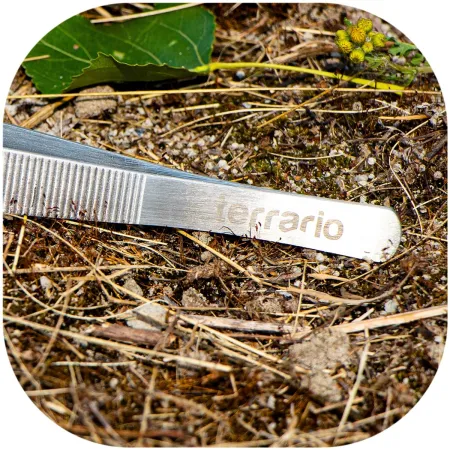 Terrario ViperTweez Bent XXL - pęseta zagięta 48cm-1924368