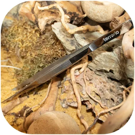 Terrario ViperTweez Simple M - pęseta prosta 25cm-1924391