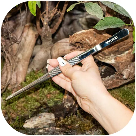 Terrario ViperTweez Simple M - pęseta prosta 25cm-1924392