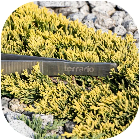 Terrario ViperTweez Simple XXL - pęseta prosta 48cm-1924428