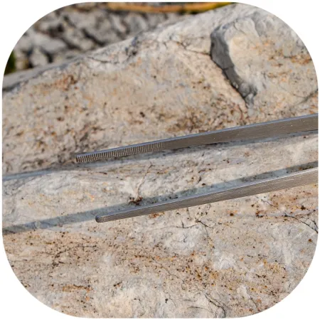 Terrario ViperTweez Simple XXL - pęseta prosta 48cm-1924429