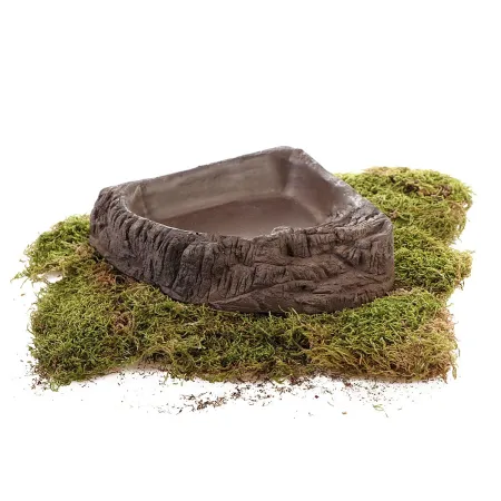 Terrario WoodLake L - rogowa miska na wodę 20x20x4cm-1924514