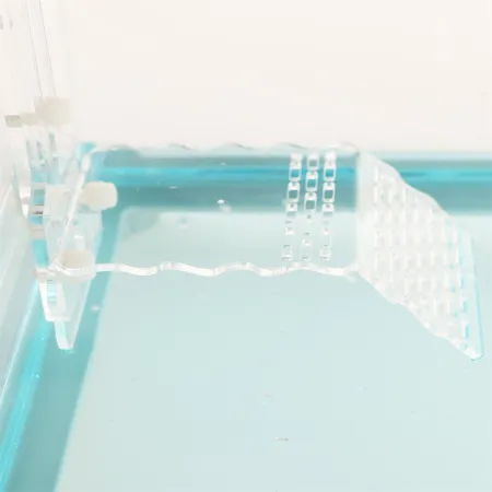 Terrario Zakynthos S - wyspa dla żółwi-1924548