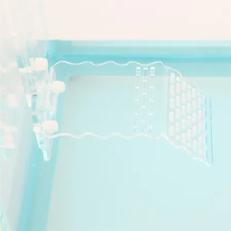 Terrario Zakynthos S - wyspa dla żółwi-1924549