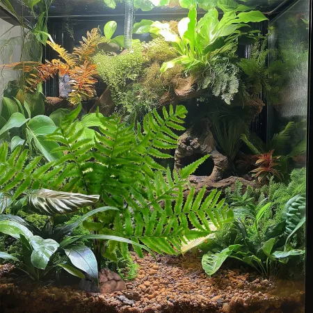 Terrario – Sztuczna roślina do terrarium - Paproć 32x15x32 cm-1924582