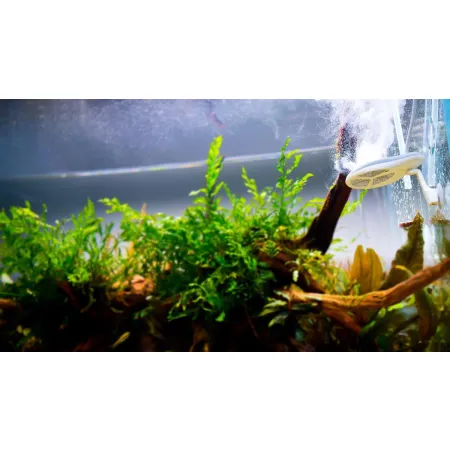 Twinstar 2 NANO Plus - eliminator glonów-1925126