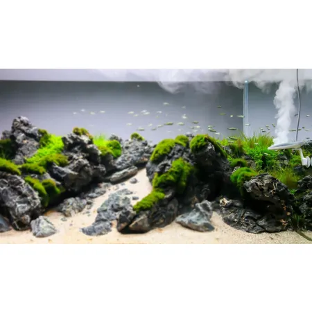 Twinstar 2 NANO Plus - eliminator glonów-1925127